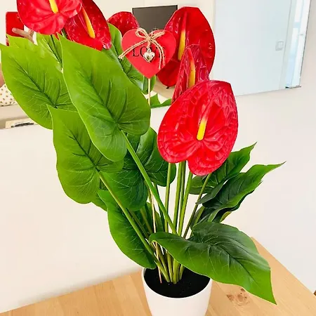 Bonito Junto A Playa Centro Fuengirola