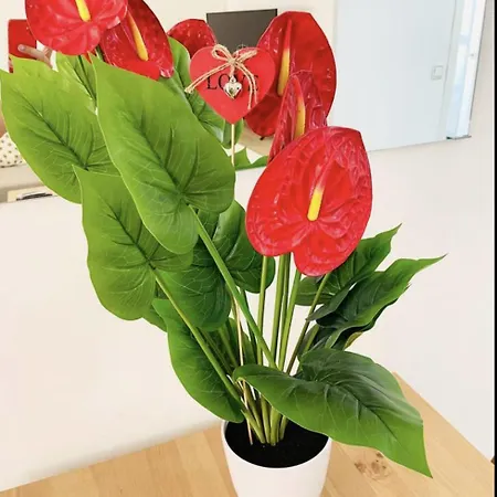 Appartement Bonito Junto A Playa Centro