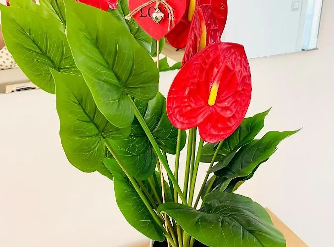 Bonito Junto A Playa Centro Fuengirola