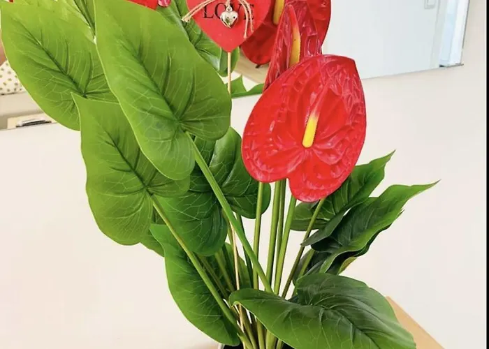 Apartamento Bonito Junto A Playa Centro